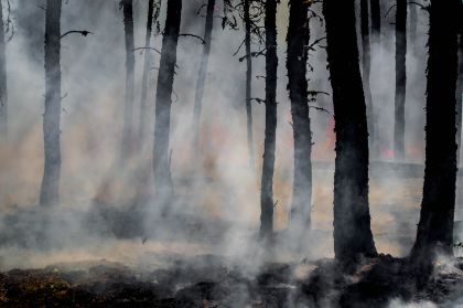 Allerta incendi boschivi